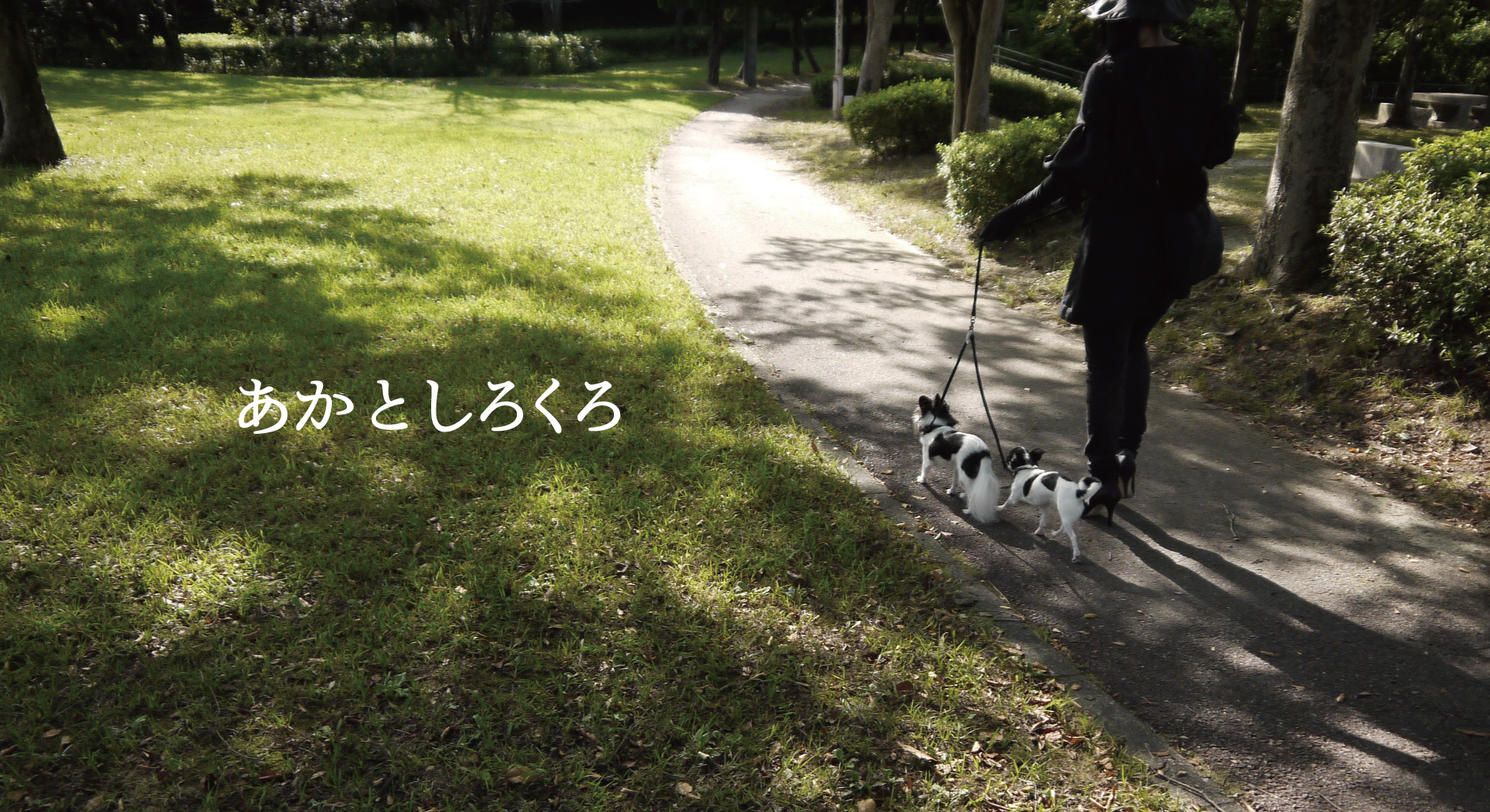 あかとしろくろ